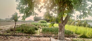 Plot Area in  Plot at North Delhi – for Sale