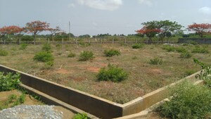 Plot Area in  Plot at Hindupur – for Sale