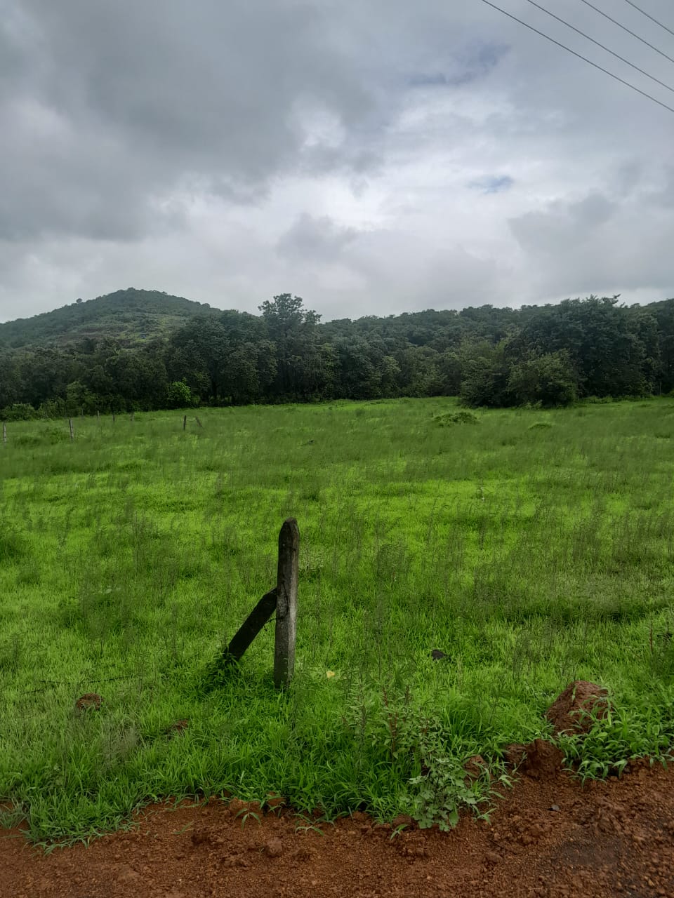 Plot For Sale in Mandangad