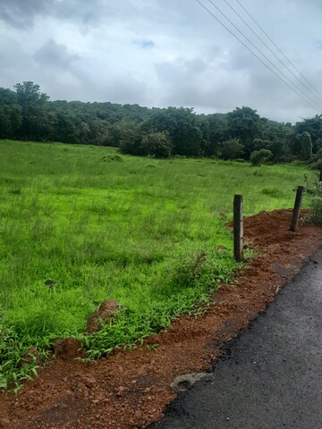 Plot Area in  Plot at Mandangad – for Sale