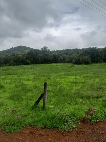  Plot For Sale in Mandangad