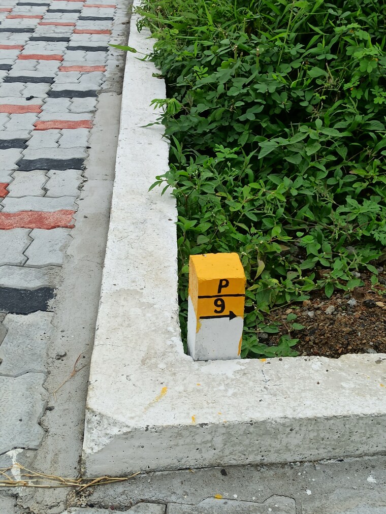 Exterior View, ringnodiya Commercial Land 1800 Sq.Ft. In Ringnodiya Indore 8981731