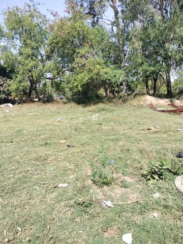  Plot For Sale in Sector 6