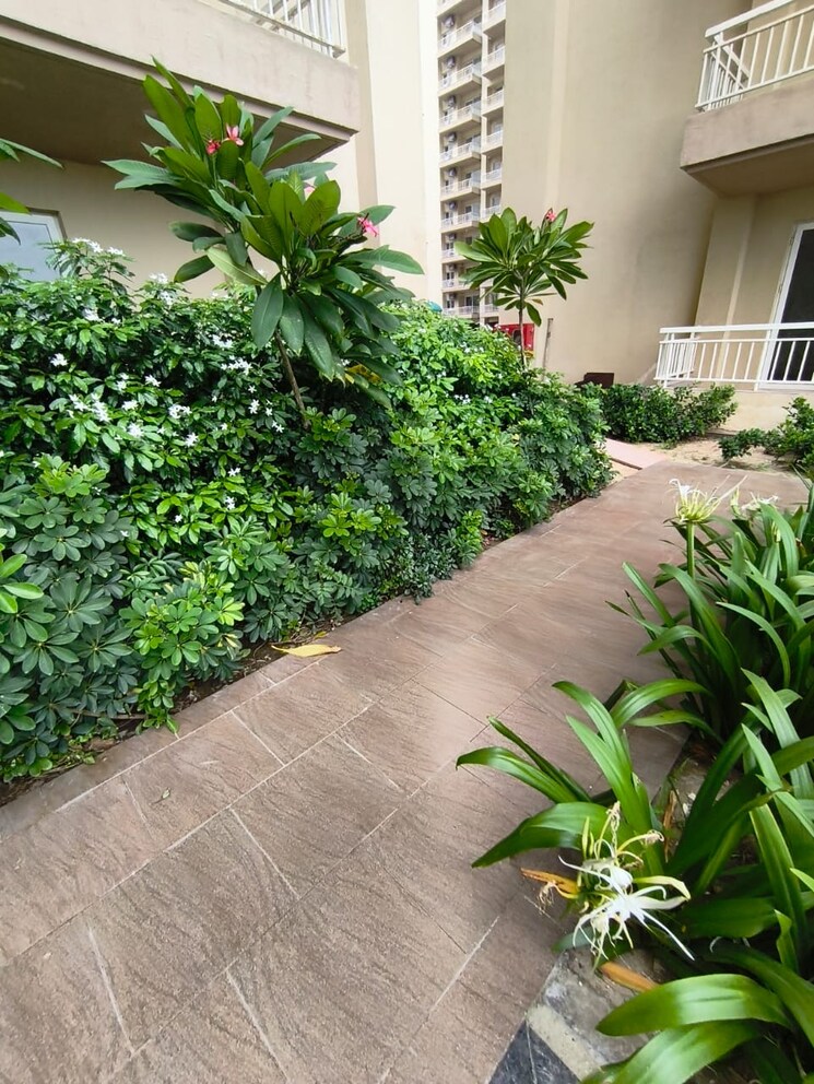 Balcony, silverglades-the-melia 2 Bedroom 1425 Sq.Ft. Apartment In Sohna Sector 35 Gurgaon 8982176