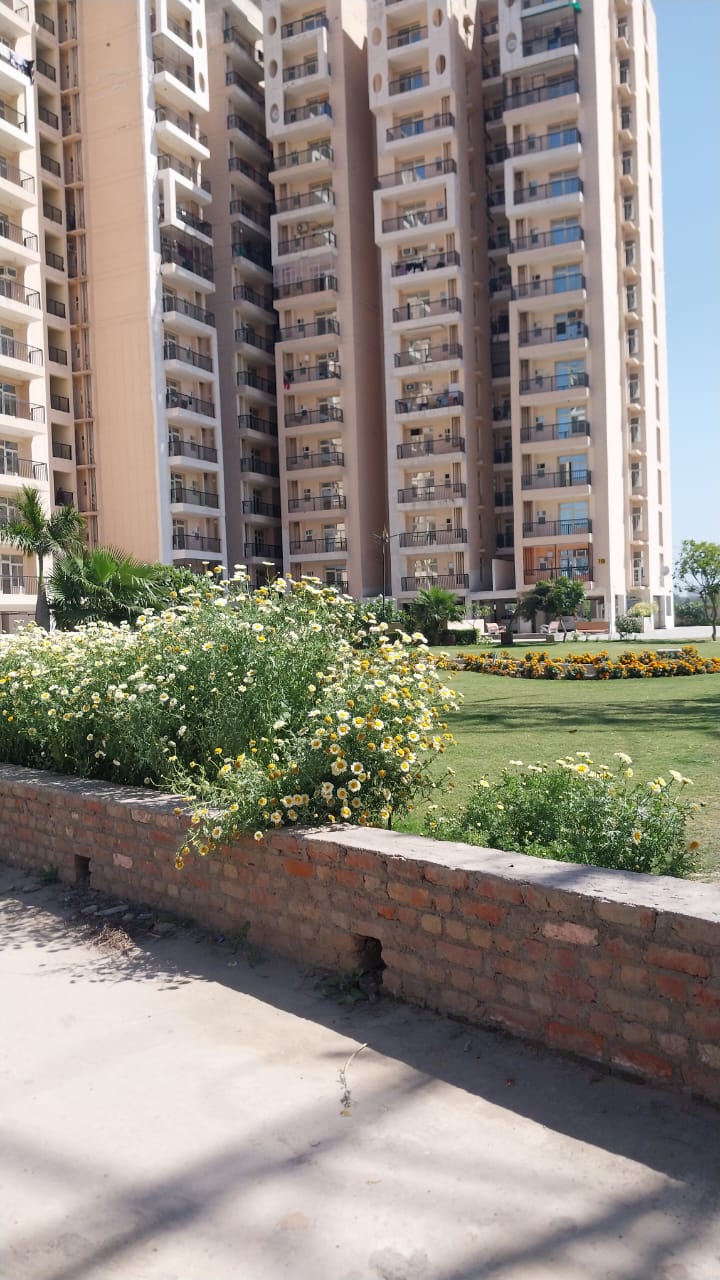 2 BHK Apartment For Sale in Eureka Diya Green City