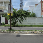 3250 Sq.Ft. Plot in Gomti Nagar Vineet Khand 