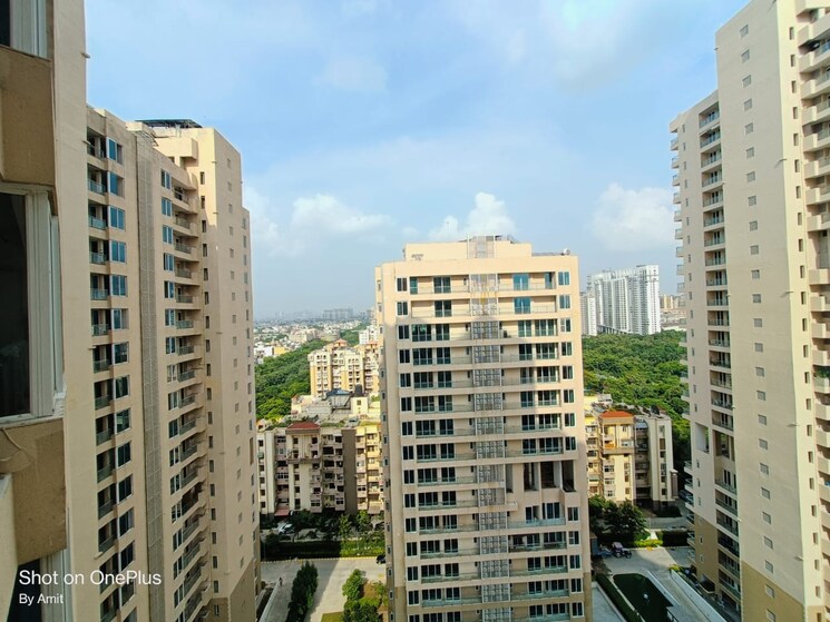 Exterior View, ambience-tiverton 3.5 Bedroom 2548 Sq.Ft. Apartment In Sector 50 Noida 8982760