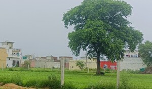  Plot – Garden View at Sultanpur - for Sale