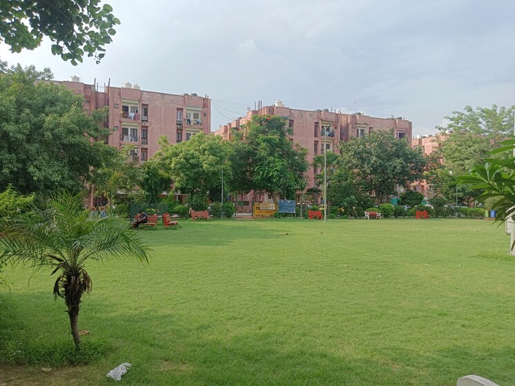 Garden, molarband 1 Bedroom 516 Sq.Ft. Apartment In Molarband Delhi 8982817