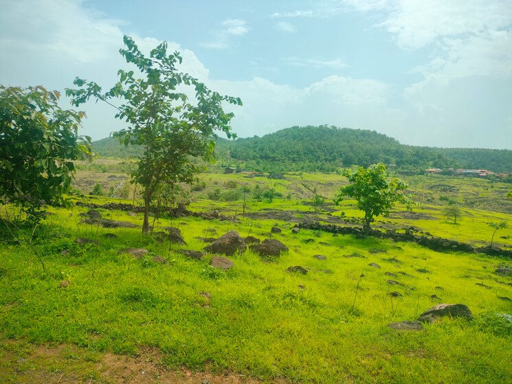 Garden, kumarhatti 1 Bedroom 707 Sq.Ft. Apartment In Kumarhatti Solan 8982924