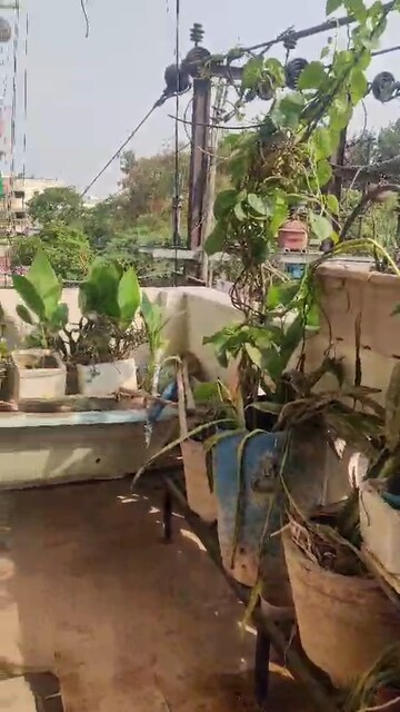 Team Area in 2 BHK Builder Floor at Vaishali Sector 5 – for Rent
