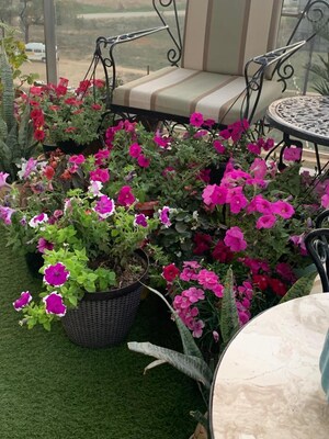 3 BHK Apartment – Map Location View at Mahindra Luminare, Sector 59 - for Sale