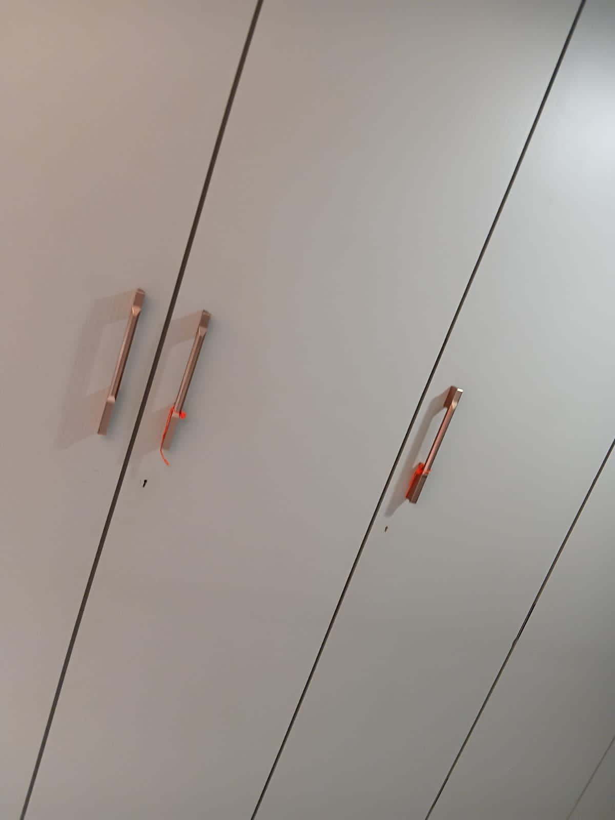 1 BHK + Pooja Room Apartment For Rent in Charisma Mithul Enclave