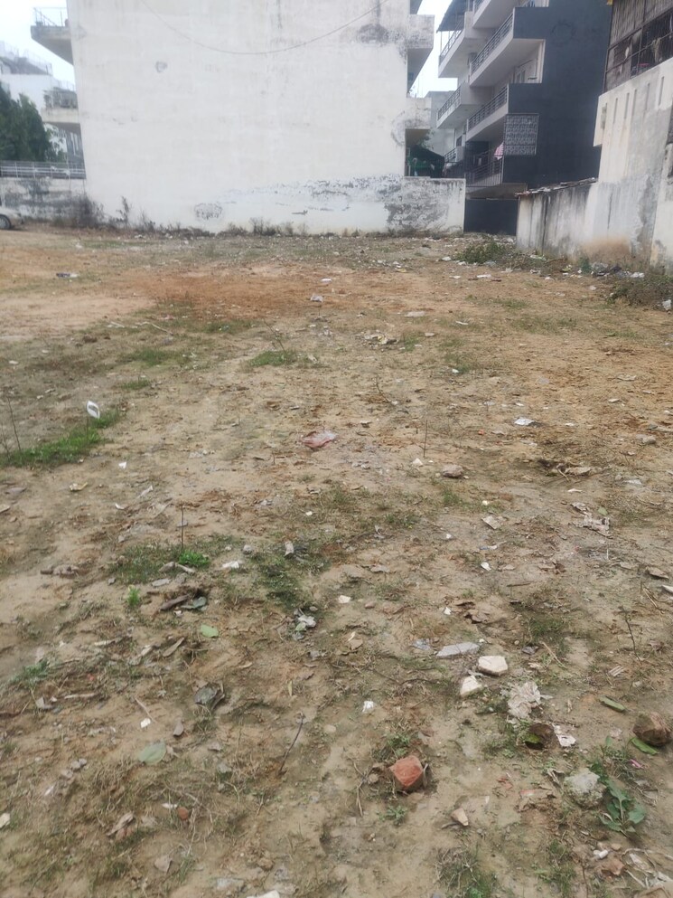 undefined, sushant lok ii  500 Sq.Yd. Plot In Sushant Lok ii Gurgaon 8983311