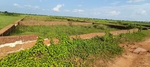 Plot Area in  Plot at Patrapada – for Sale