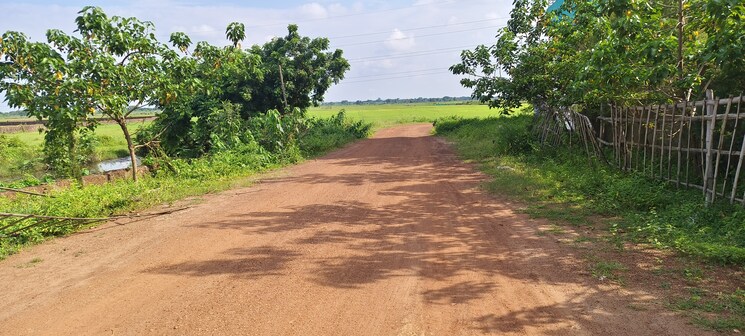 Garden, patrapada  1269 Sq.Ft. Plot In Patrapada Bhubaneswar 8983415