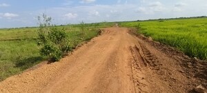 Plot Area in  Plot at Patrapada – for Sale