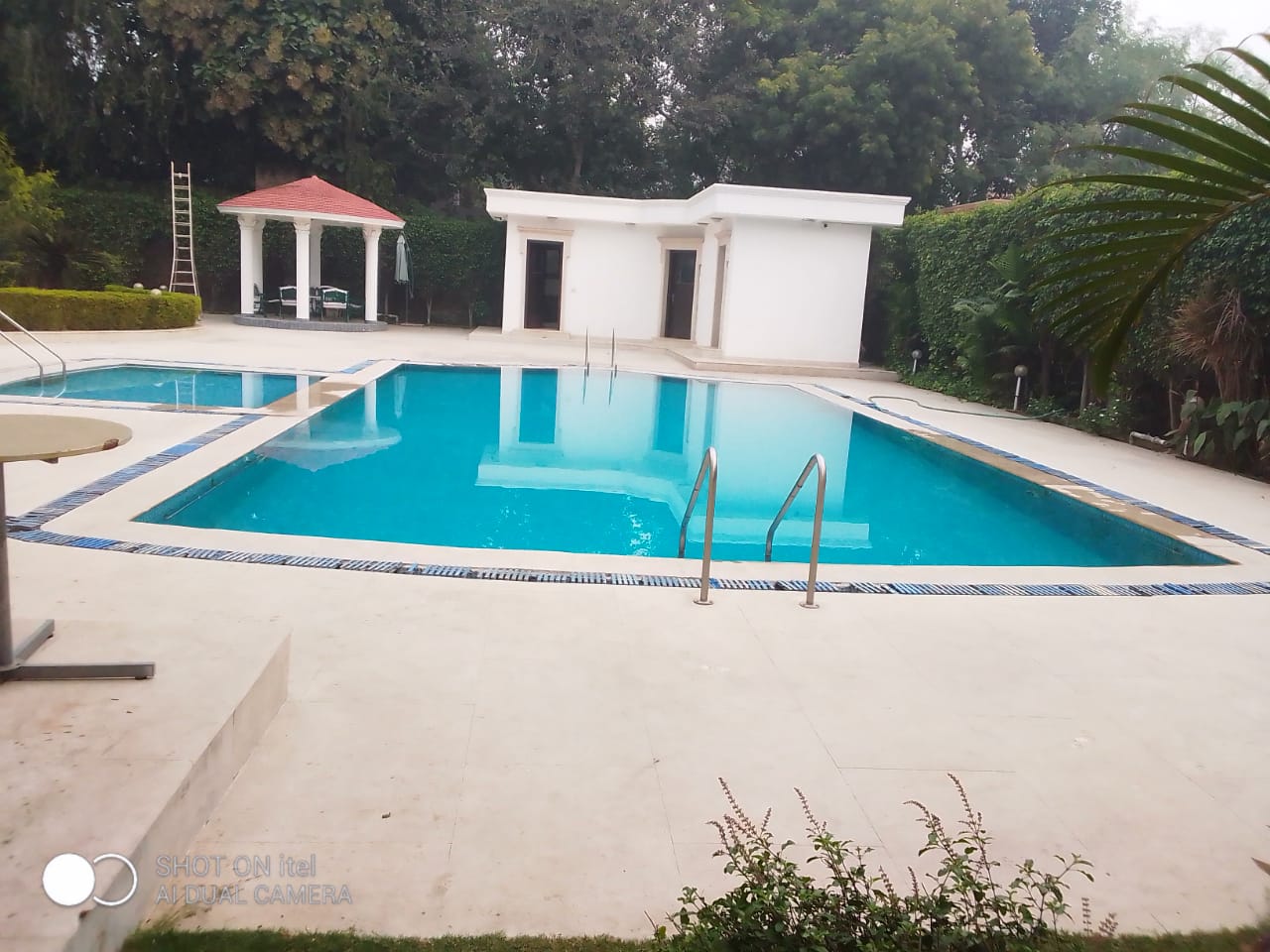 5 BHK + Pooja Room,Servant Room,Study Room,Extra Room Villa For Rent in Palm Residency Chhatarpur