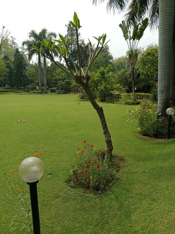 5 BHK Villa – Garden View at Palm Residency Chhatarpur, Chattarpur - for Rent