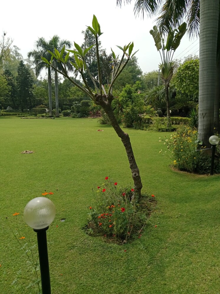 Garden, palm-residency-chhatarpur 5 Bedroom 41000 Sq.Ft. Villa In Chattarpur Delhi 8983409