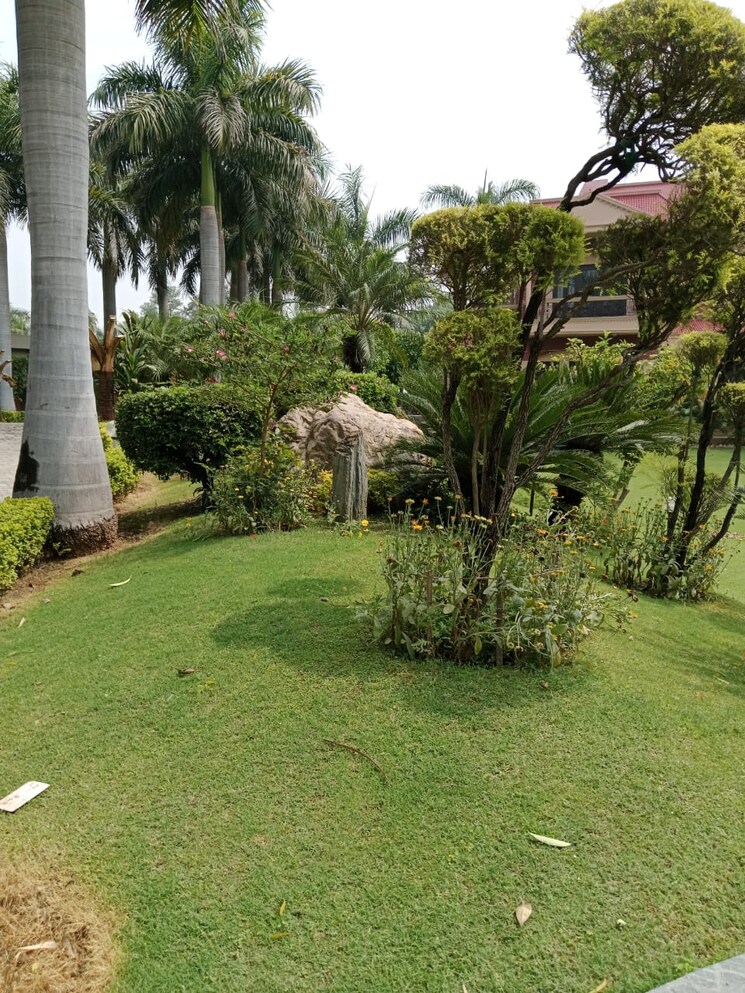 Garden, palm-residency-chhatarpur 5 Bedroom 41000 Sq.Ft. Villa In Chattarpur Delhi 8983409