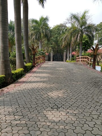 Swimming Pool in 5 BHK Villa at Palm Residency Chhatarpur, Chattarpur – for Rent