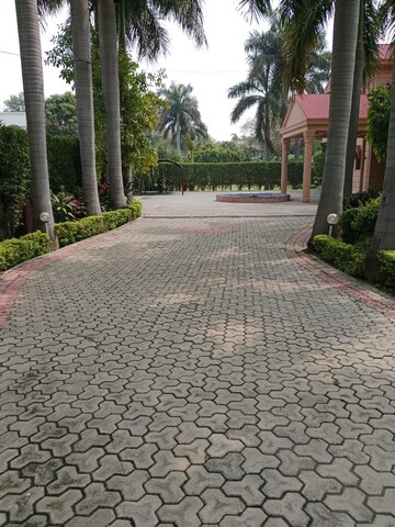 Swimming Pool in 5 BHK Villa at Palm Residency Chhatarpur, Chattarpur – for Rent