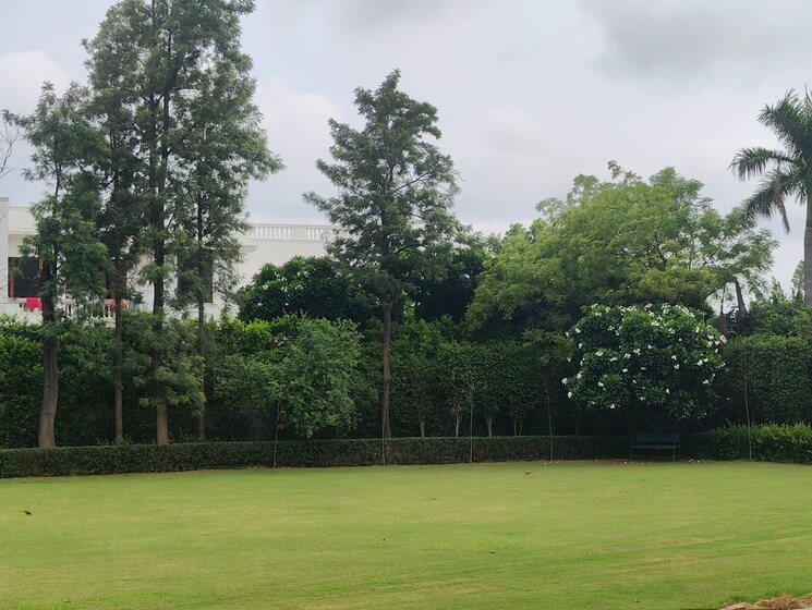 Garden, palm-residency-chhatarpur 5 Bedroom 41000 Sq.Ft. Villa In Chattarpur Delhi 8983409