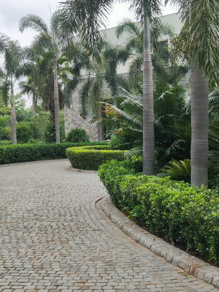 Garden, palm-residency-chhatarpur 5 Bedroom 41000 Sq.Ft. Villa In Chattarpur Delhi 8983409