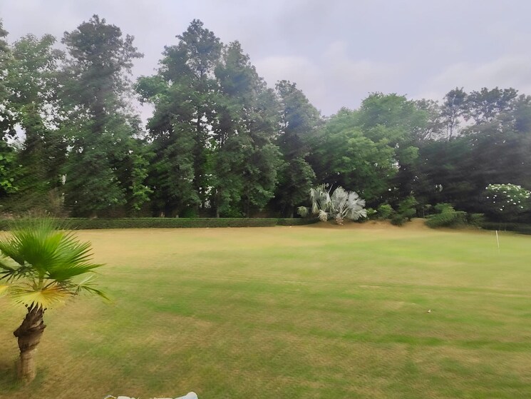 Garden, palm-residency-chhatarpur 5 Bedroom 41000 Sq.Ft. Villa In Chattarpur Delhi 8983409