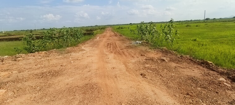 undefined, patrapada  1308 Sq.Ft. Plot In Patrapada Bhubaneswar 8983424