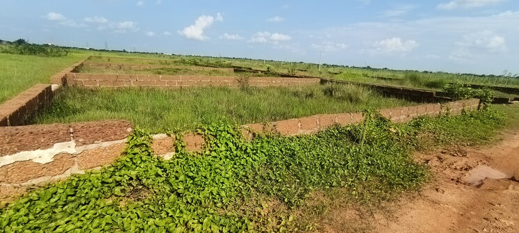 undefined, patrapada  1308 Sq.Ft. Plot In Patrapada Bhubaneswar 8983424