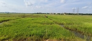 Plot Area in  Plot at Patrapada – for Sale