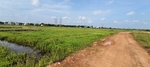 Plot Area in  Plot at Patrapada – for Sale