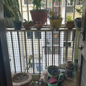 Team Area in 2 BHK Apartment at Alaknanda Apartment Gomti Nagar, Malesemau – for Sale