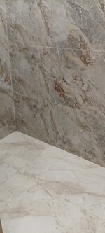 1 BHK 428 Sq.Ft. Apartment in Shraddha Park City