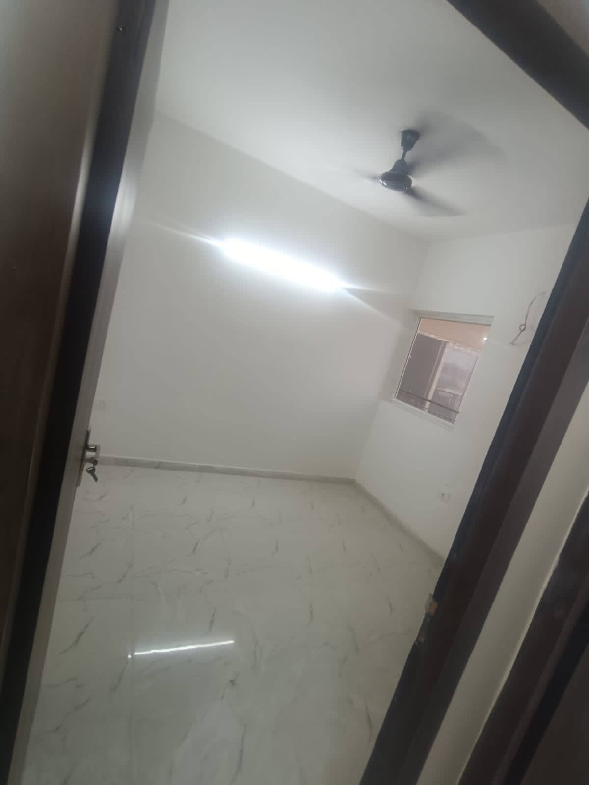 1 BHK 361 Sq.Ft. Apartment in Pivotal Paradise