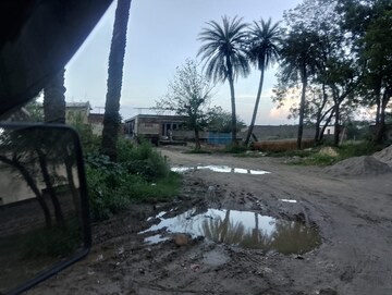 Plot Area in  Plot at Sector 143 – for Sale