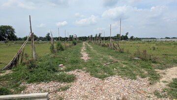 Plot Area in  Plot at Sector 143 – for Sale