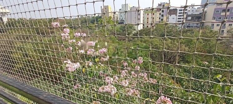 Balcony, alekhya-crossandra 3 Bedroom 1852 Sq.Ft. Apartment In Kothaguda Hyderabad 8983779