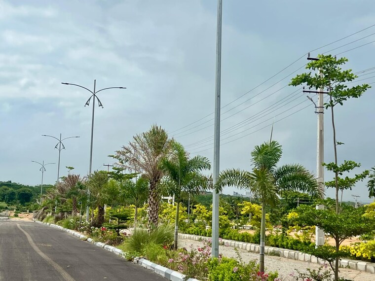 Garden, vasavi-archana-white-lotus  1222 Sq.Yd. Plot In Kethireddipally Hyderabad 8984182
