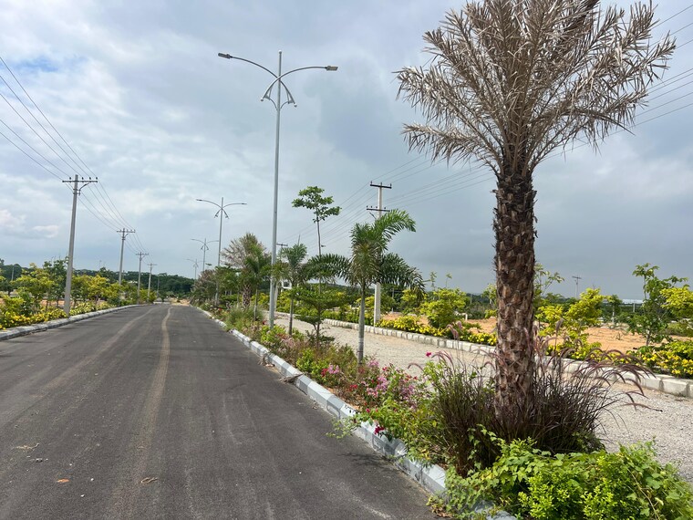 Garden, vasavi-archana-white-lotus  1222 Sq.Yd. Plot In Kethireddipally Hyderabad 8984182