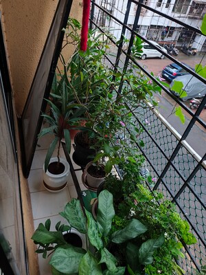 Balcony in 2 BHK Apartment at Veena Saraswati Complex, Vasai East – for Sale