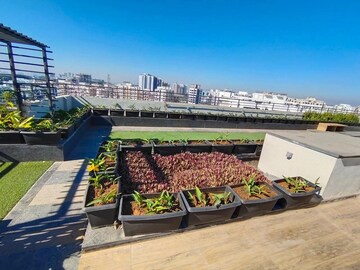 1 BHK Apartment For Rent in Ajax Global Lifestyle, Kharadi