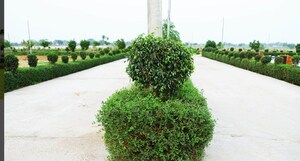  Plot – Garden View at Noida Central - for Sale