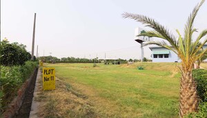  Plot For Sale in Noida Central