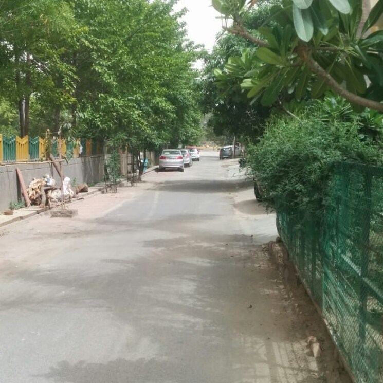 Exterior View, rwa-apartments-sector-50 4 Bedroom 250 Sq.Yd. Independent House In Sector 50 Noida 8984529