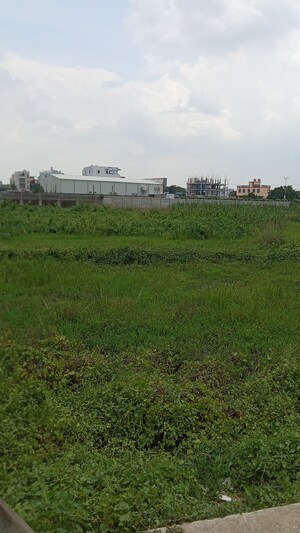  Plot For Sale in Kesora