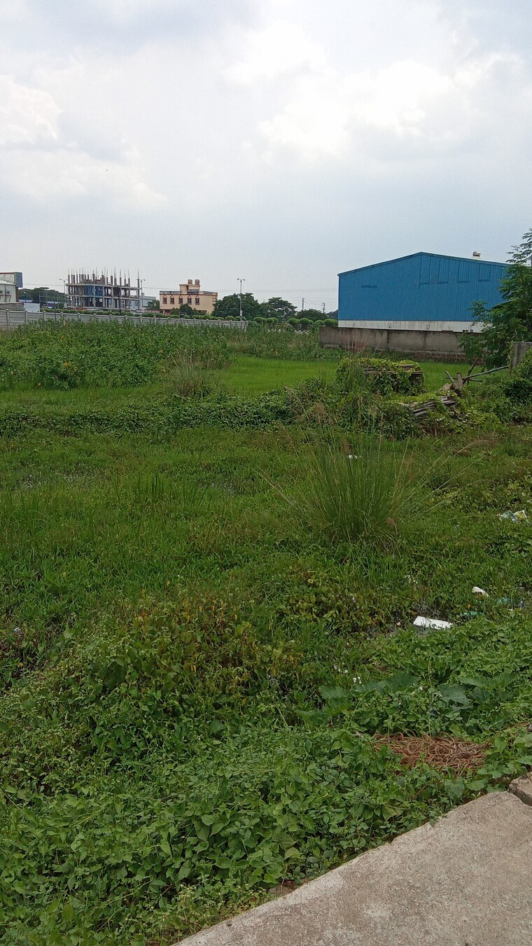 undefined, kesora  3000 Sq.Ft. Plot In Kesora Bhubaneswar 8984516