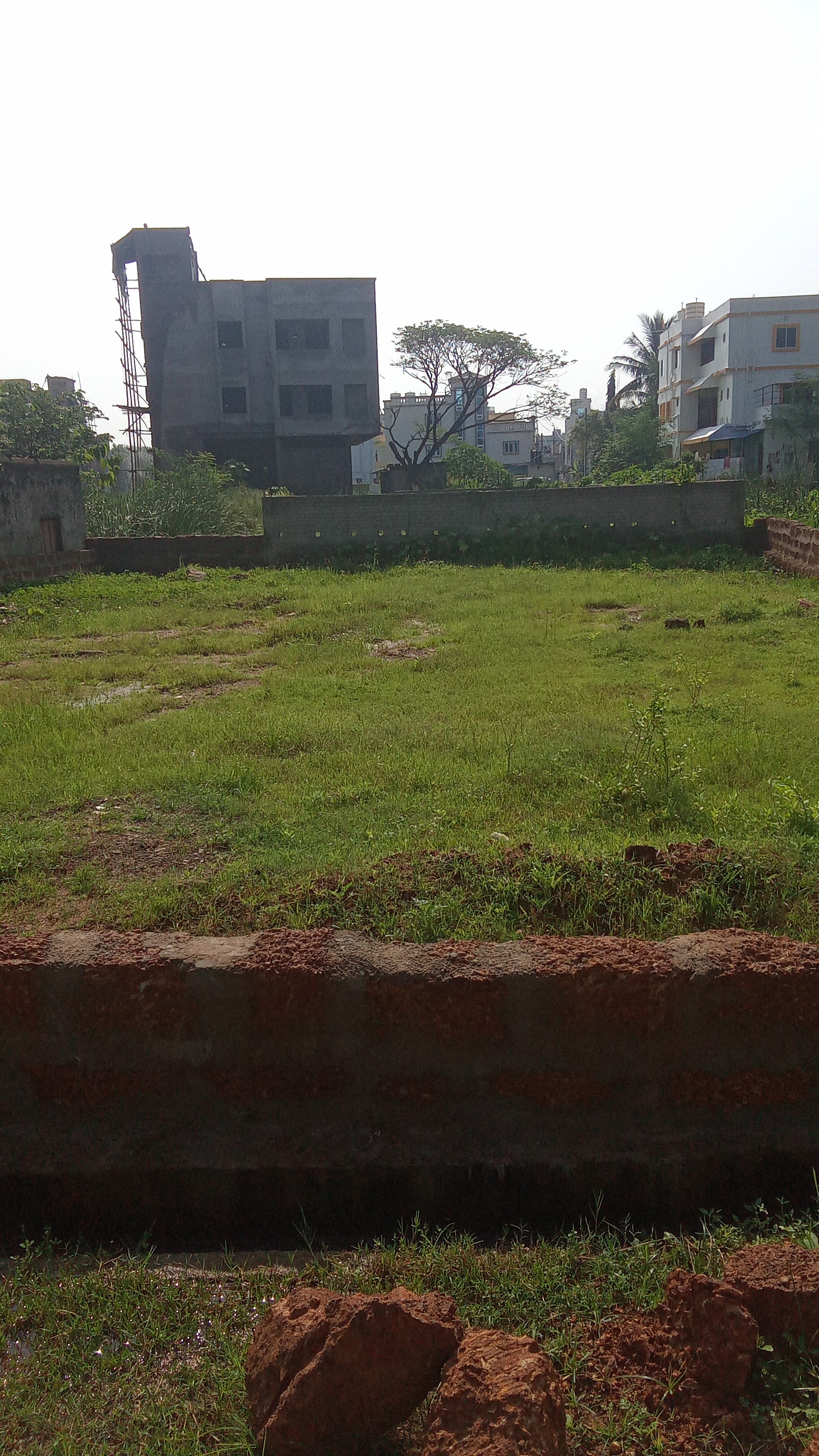 Plot For Sale in Gharabari Plot 